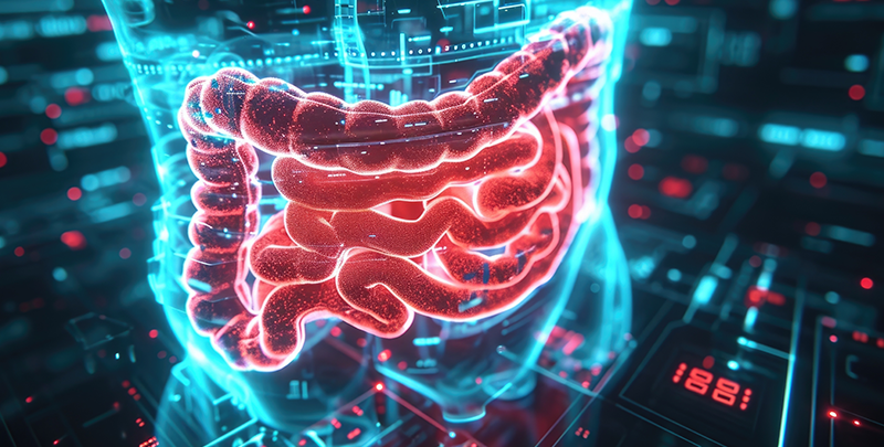 Importance of Gut Microbiome Testing