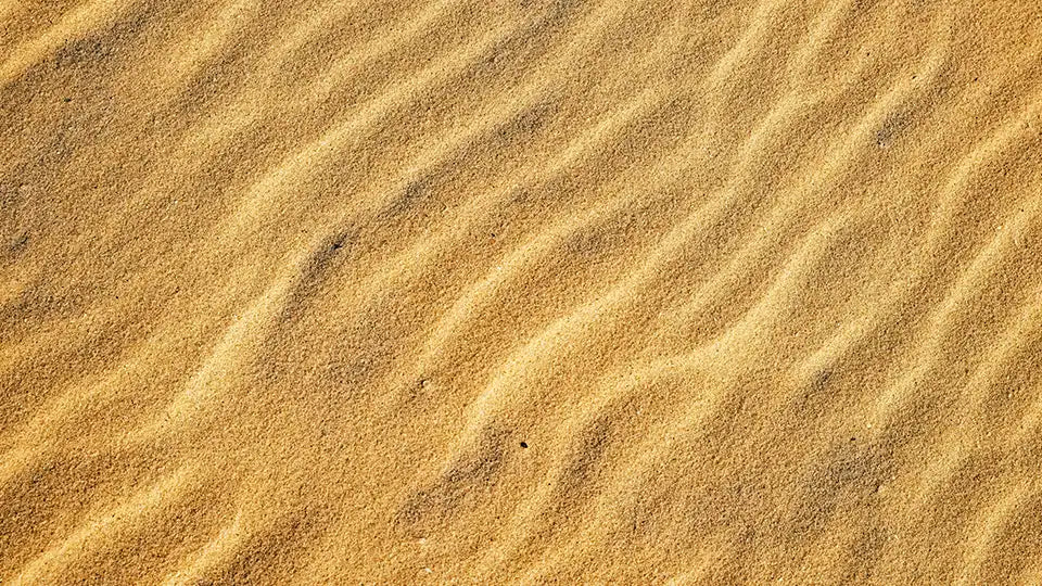 UAE Nationals' Pre-Employment Test