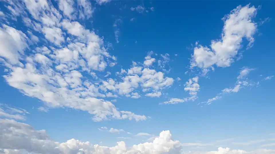 Fit To Travel Certificate