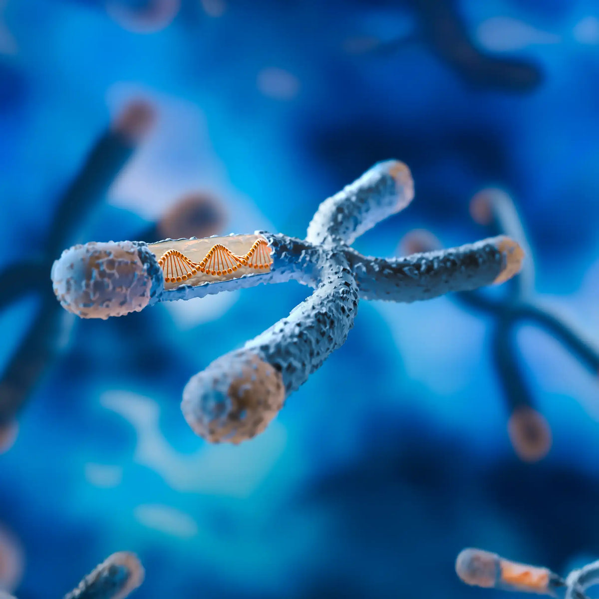 Longevity Services in Dubai | Slow Ageing With DNA Insights | Smart Salem