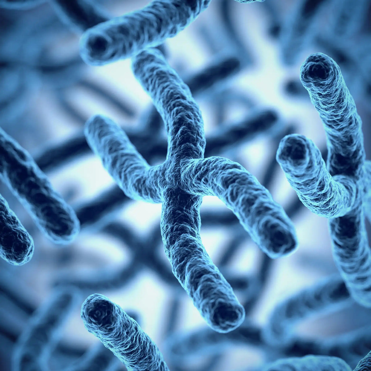 Longevity Services in Dubai | Slow Ageing With DNA Insights | Smart Salem